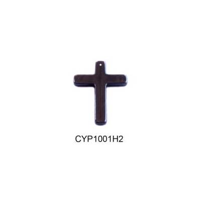 CYP1001H2