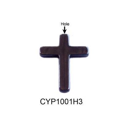 CYP1001H3