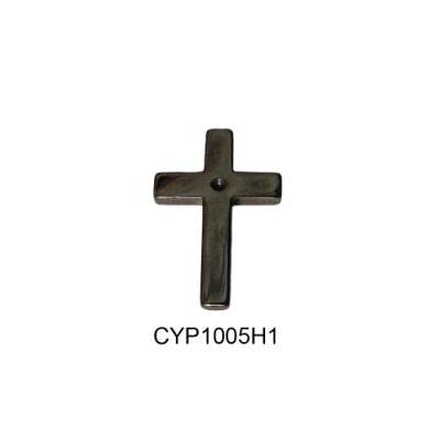 CYP1005H1